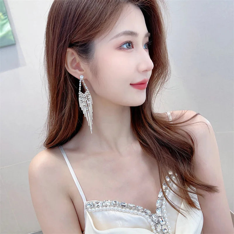 Exaggerated Design Luxury Fashion Party Daily Long Earrings